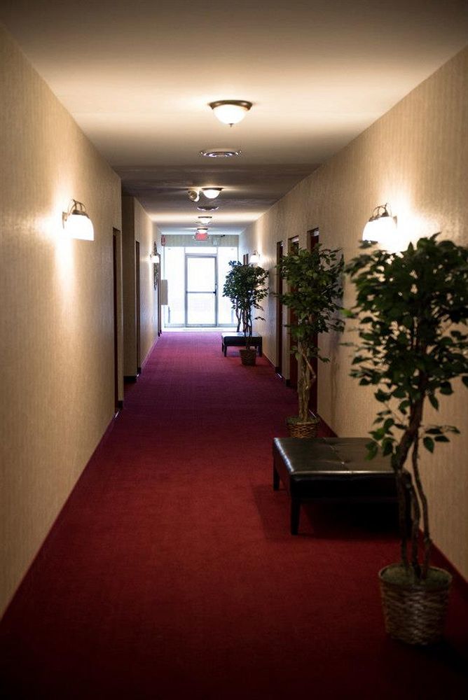 Pacer Inn & Suites Motel Delaware Eksteriør billede